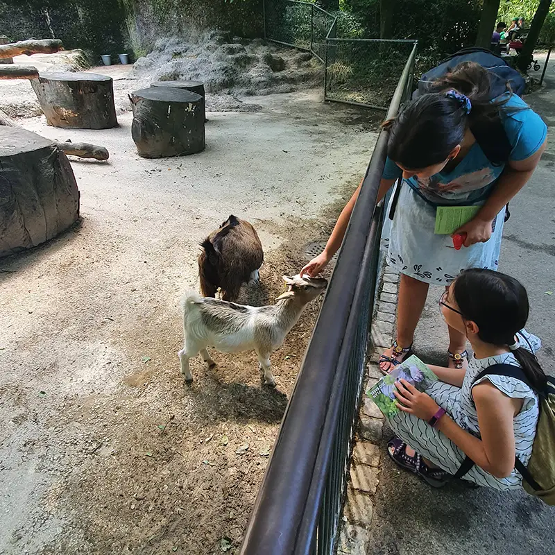 kids-and-teens-feriensprachkurse-sprachkurse-in-den-ferien